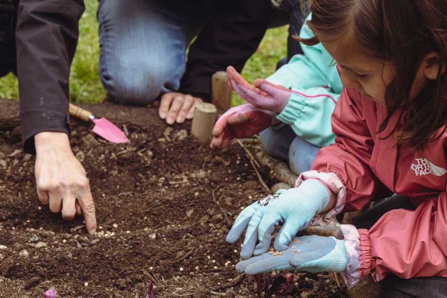 kideaz copyright event  aussaat pikier party