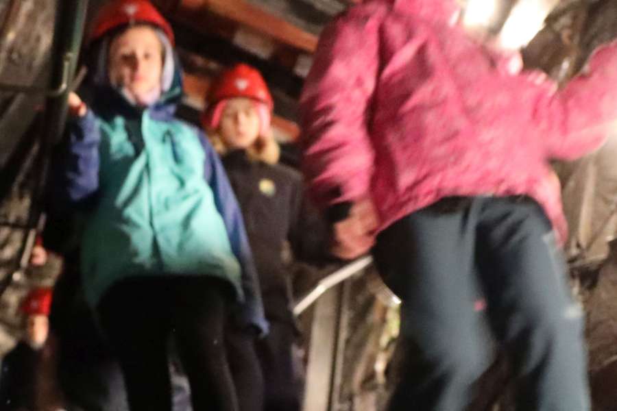 kideaz copyright event  kids at the museum