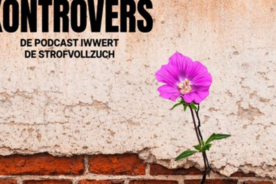 kideaz copyright event  kontrovers