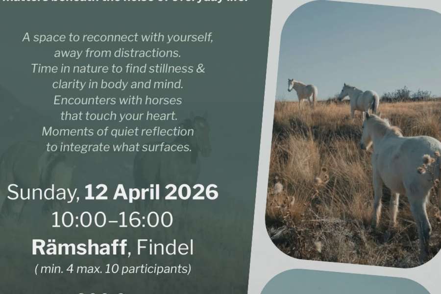 kideaz copyright event  the secret wisdom of horses earth