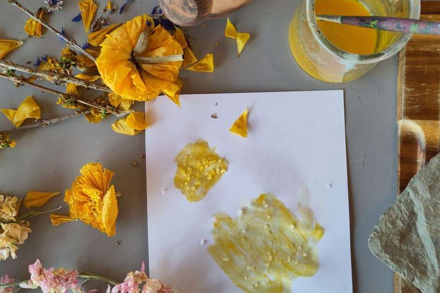 kideaz copyright event casino luxembourg  les couleurs de la nature