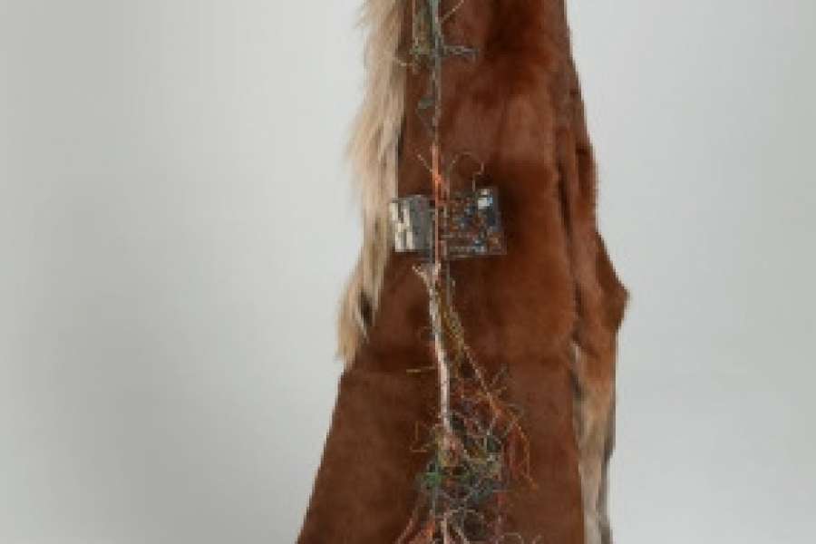 kideaz copyright event centre pompidou metz  gloria friedmann splendeurs et extinction de la nature