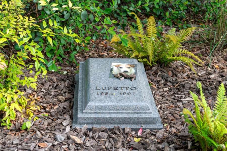 kideaz copyright event centre pompidou metz  lupetto de maurizio cattelan