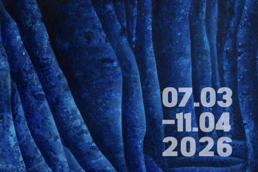 kideaz copyright event galerie pj  arcanes