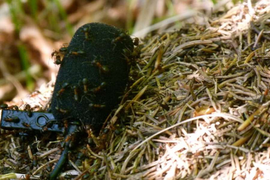 kideaz copyright event konschthal esch  atelier pour enfants ecoacoustics sound art