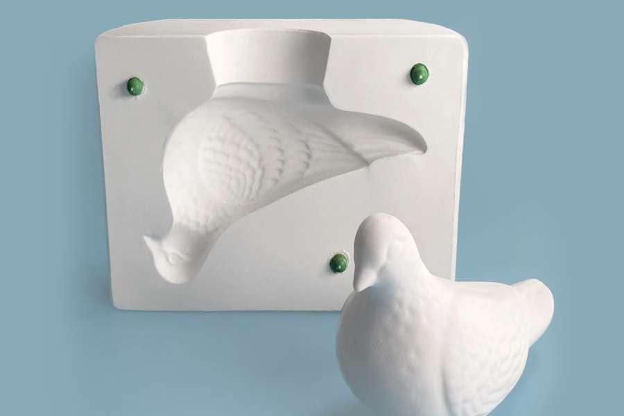 kideaz copyright event mnhn musee national dhistoire naturelle  petits pigeons grandes histoires