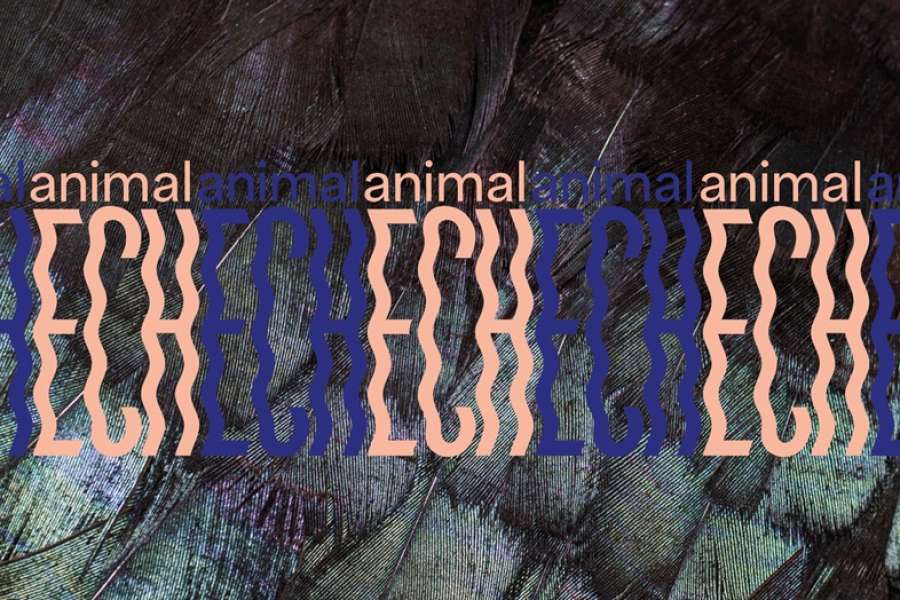 kideaz copyright event mnhn musee national dhistoire naturelle  visites guides de lexposition animalech