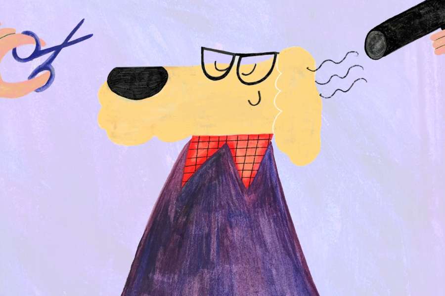 kideaz copyright event neimenster  monologue dun chien bien coiff