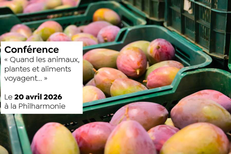 kideaz copyright event philharmonie  la scurit dans mon assiette 2026