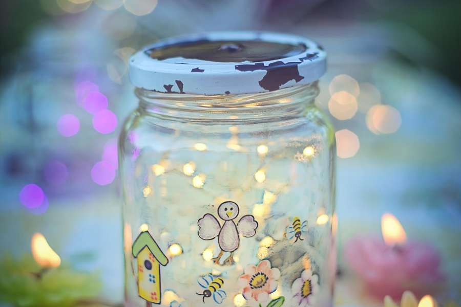 kideaz copyright event  leuchtende wunder entdecke die geheimnisvolle welt der glhwrmchen
