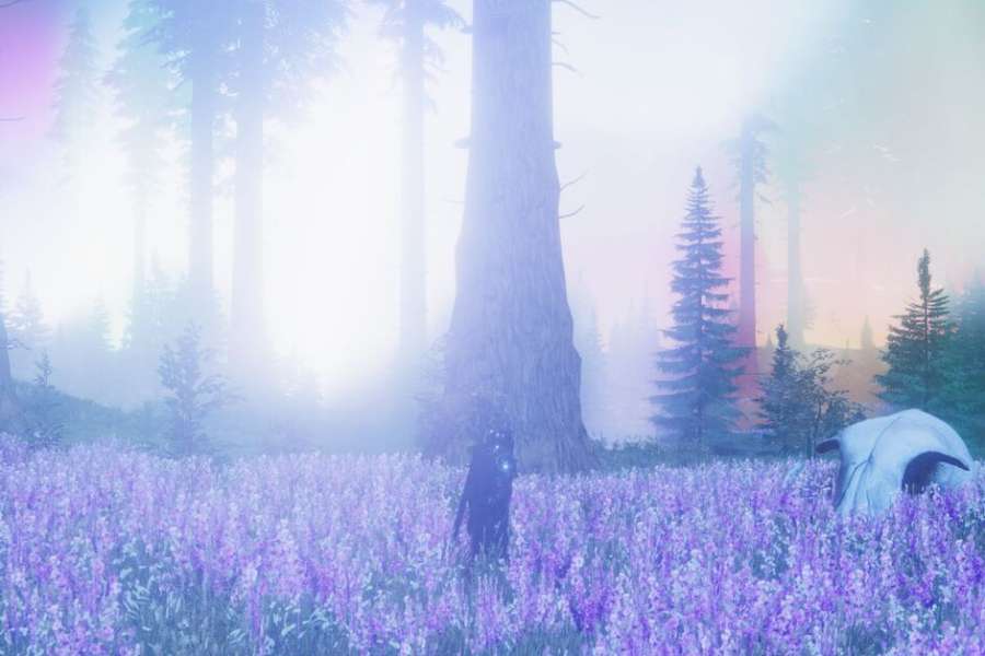 kideaz copyright event casino luxembourg  une immersion dans le jeu