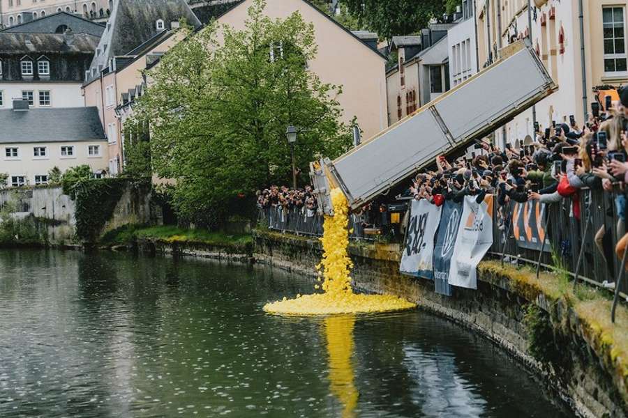 kideaz copyright event neimenster  duck race