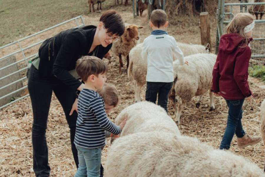 kideaz copyright event robbesscheier  beien a schofwoch la dcouverte des abeilles et des moutons