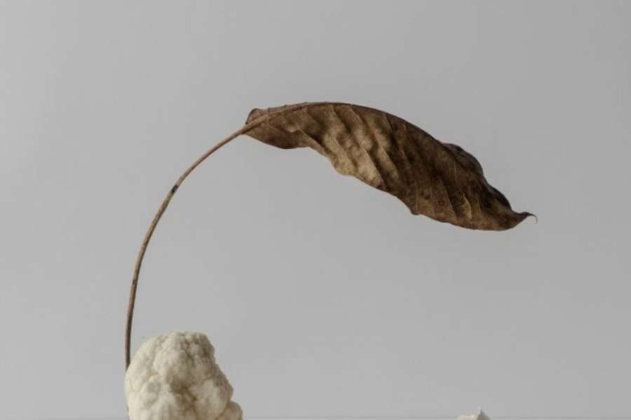 kideaz copyright event villa vauban  de lobjet soi nature morte autobiographique