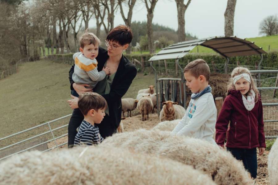 kideaz copyright formulaire fiche semaine des abeilles et des moutons munshausen