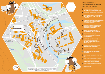 etape circuit parcours abeille kideaz