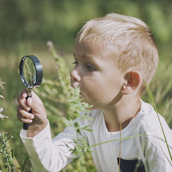 kideaz enfant jardinage analyser plantes fleurs