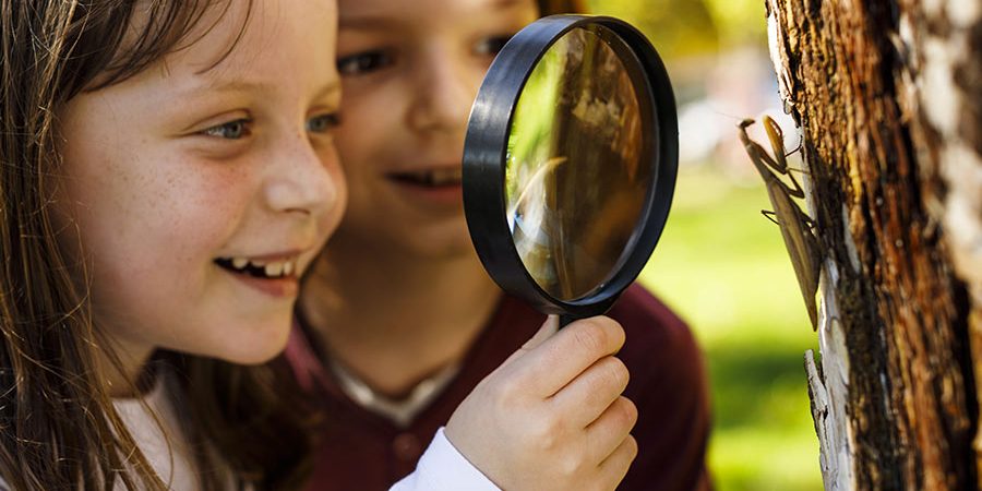 kideaz explorateurs bonheur creche nature decouverte