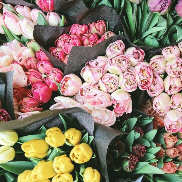 kideaz-fleurs kideaz fleurs