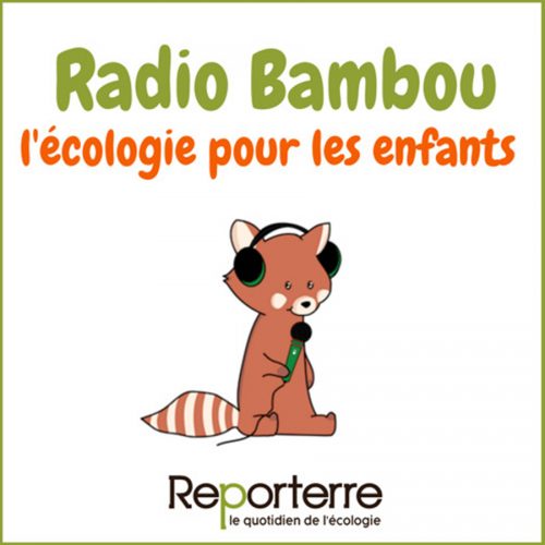 kideaz radio bambou podcast ecologie enfants